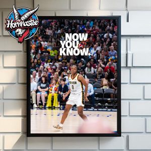 Kelsey Mitchell Indiana Fever Now You Know Poster Home Decor Canvas